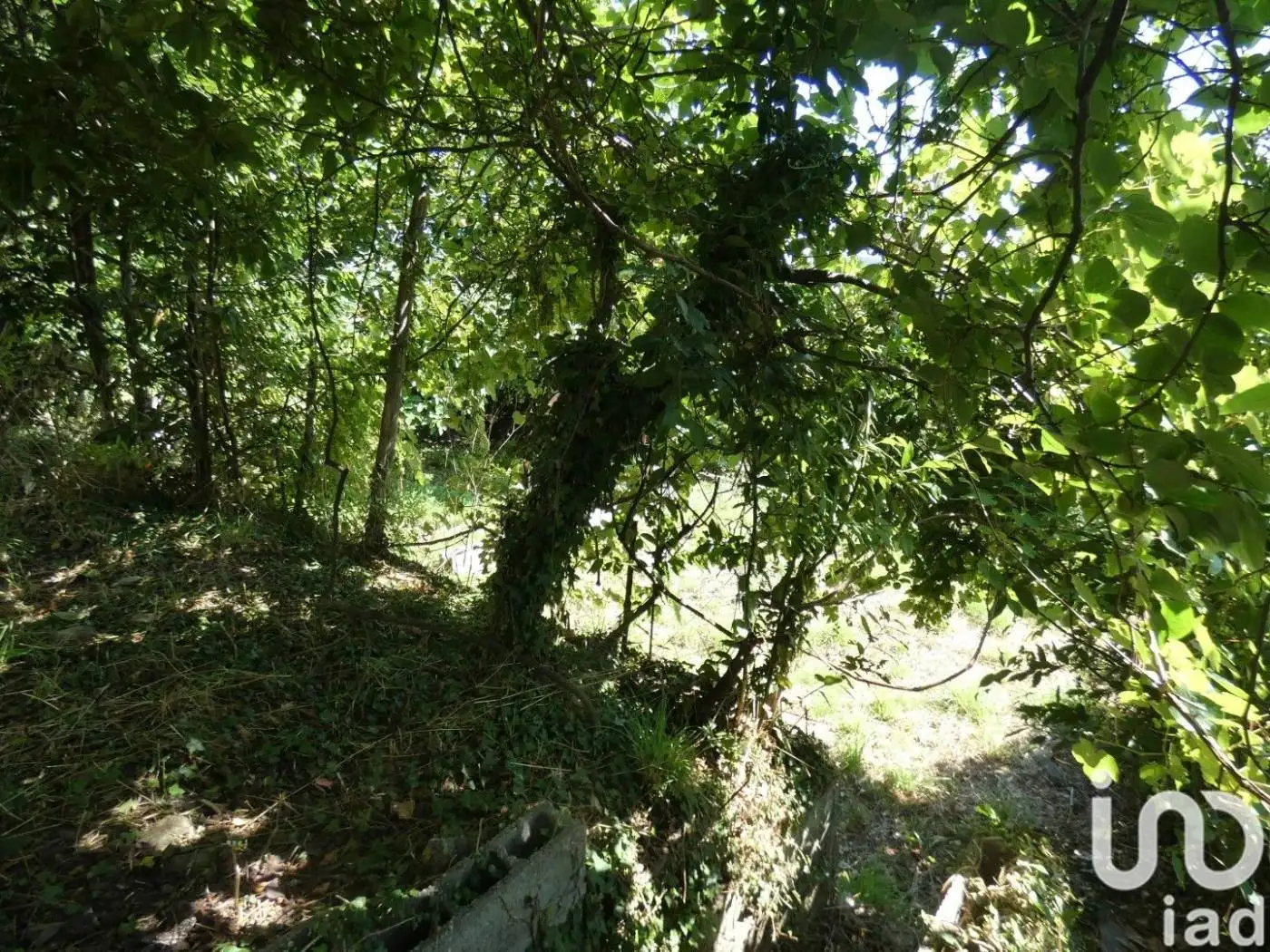 Appartamento via quattro novembre, Castello, Carro - foto 2