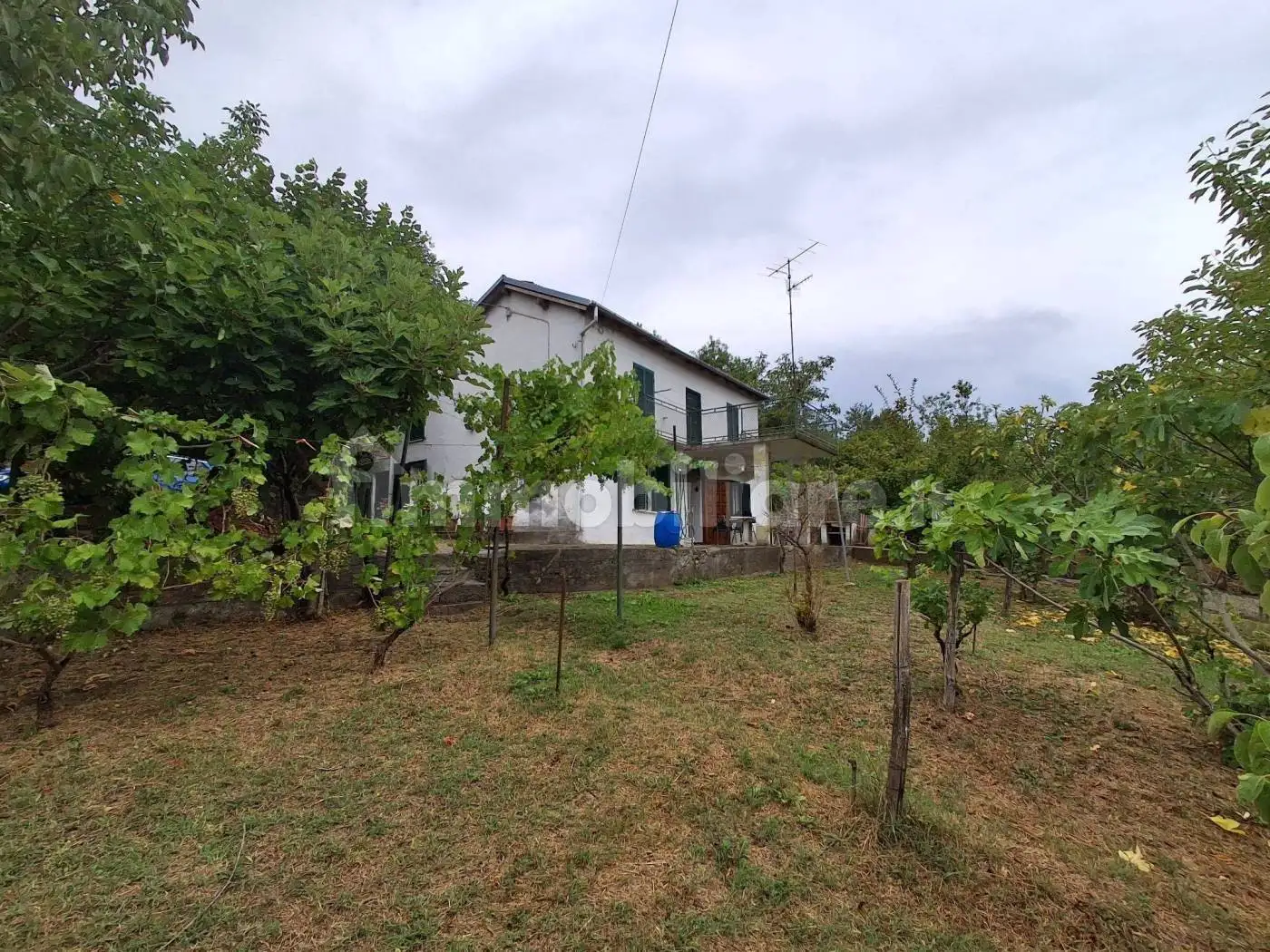 Casa indipendente in vendita a Spigno Monferrato