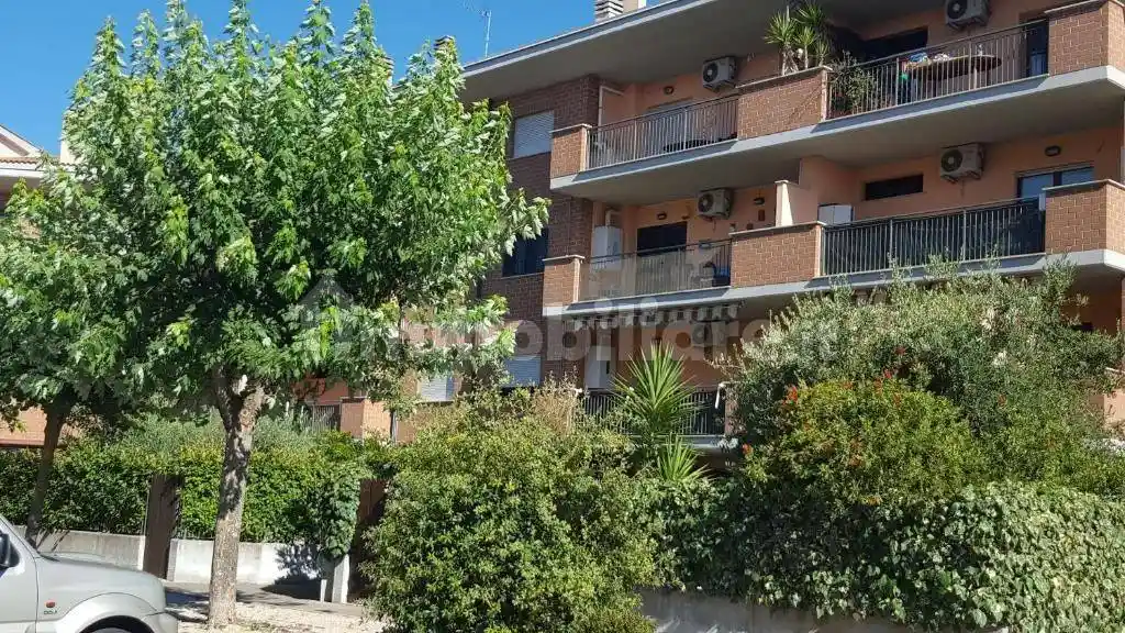 Appartamento in affitto a Nettuno