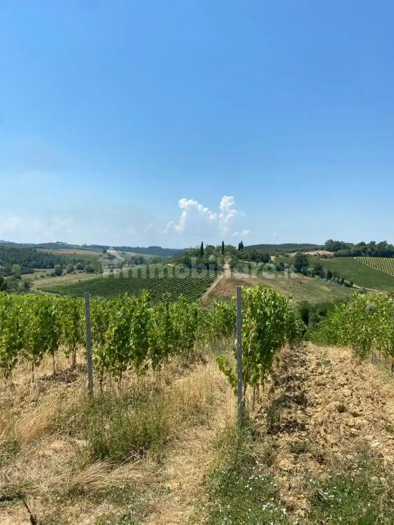 Rustico - Casale in vendita a Cerreto Guidi