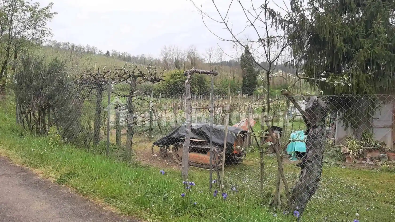 Rustico - Casale in vendita a San Gimignano