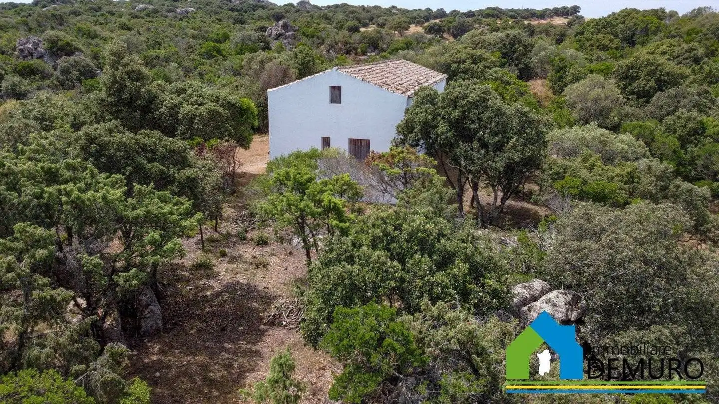 Rustico - Casale in vendita a Olbia