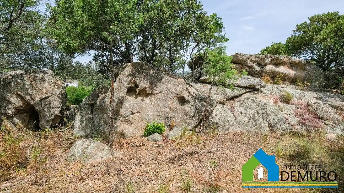 Rustico via Raica, Mannazzu, Putzolu, Olbia - foto 3