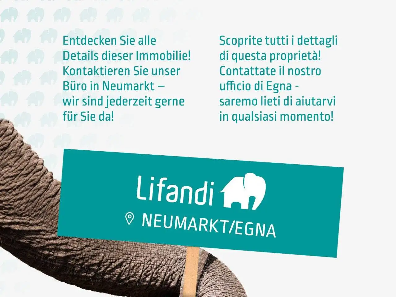 Quadrilocale ottimo stato, primo piano, Borgo d'Anaunia - foto 4