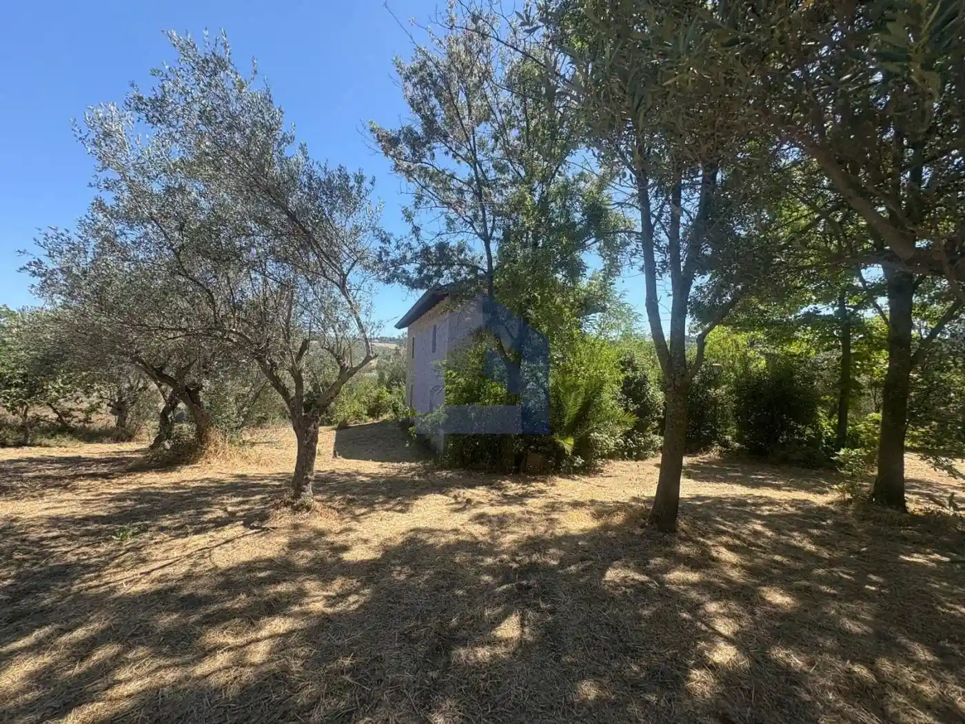 Casale via Feltrino, Castel Frentano - foto 5