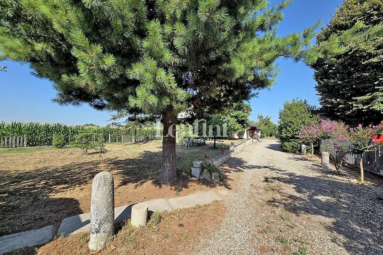 Villa unifamiliare via Giuseppe Verdi 18, Centro, Candia Lomellina - foto 2