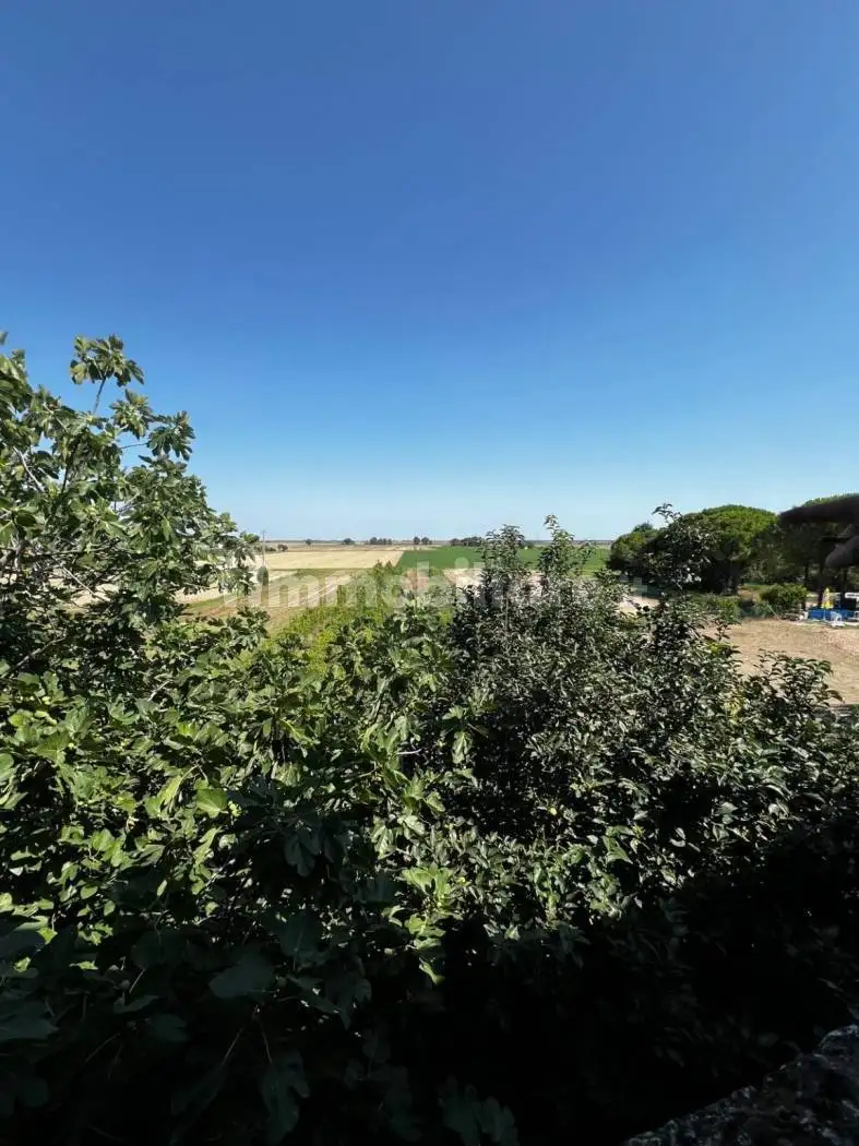 Palazzo - Edificio in vendita a Ravenna