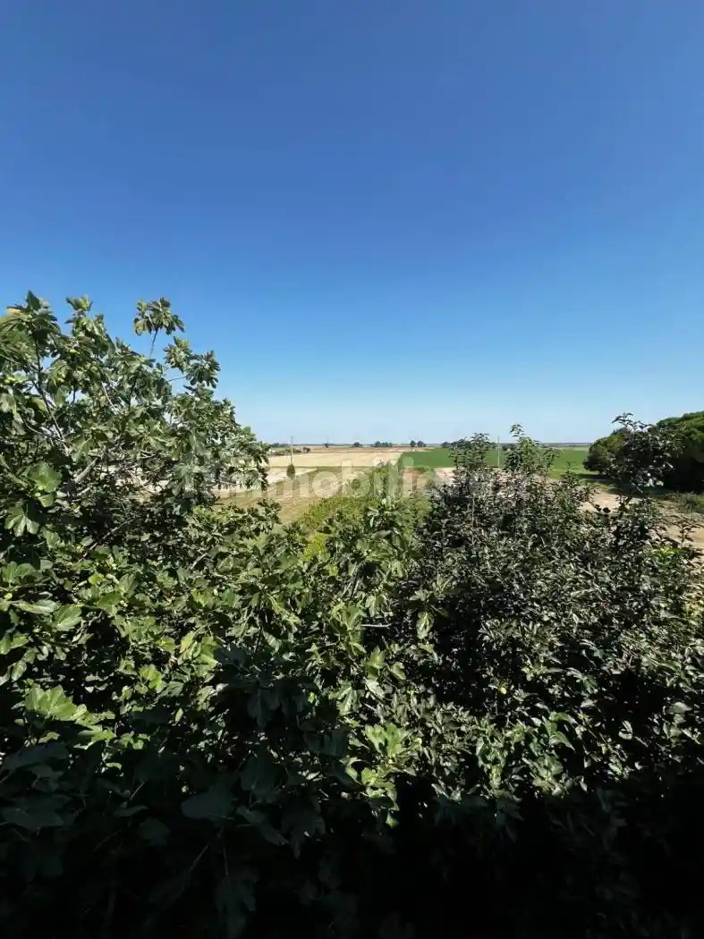 Palazzo - Edificio in Vendita - foto 2