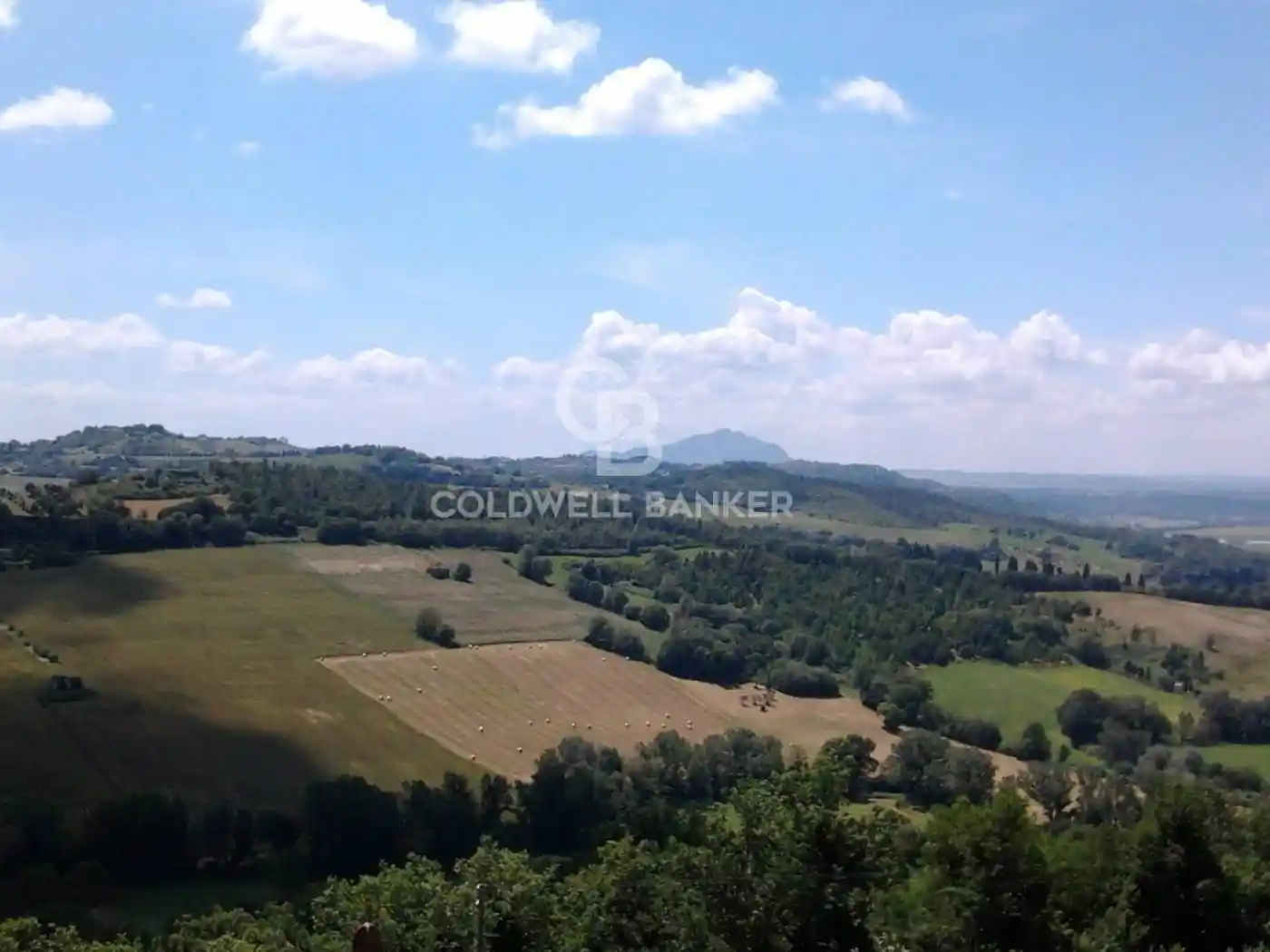 Palazzo - Edificio in Vendita - foto 3