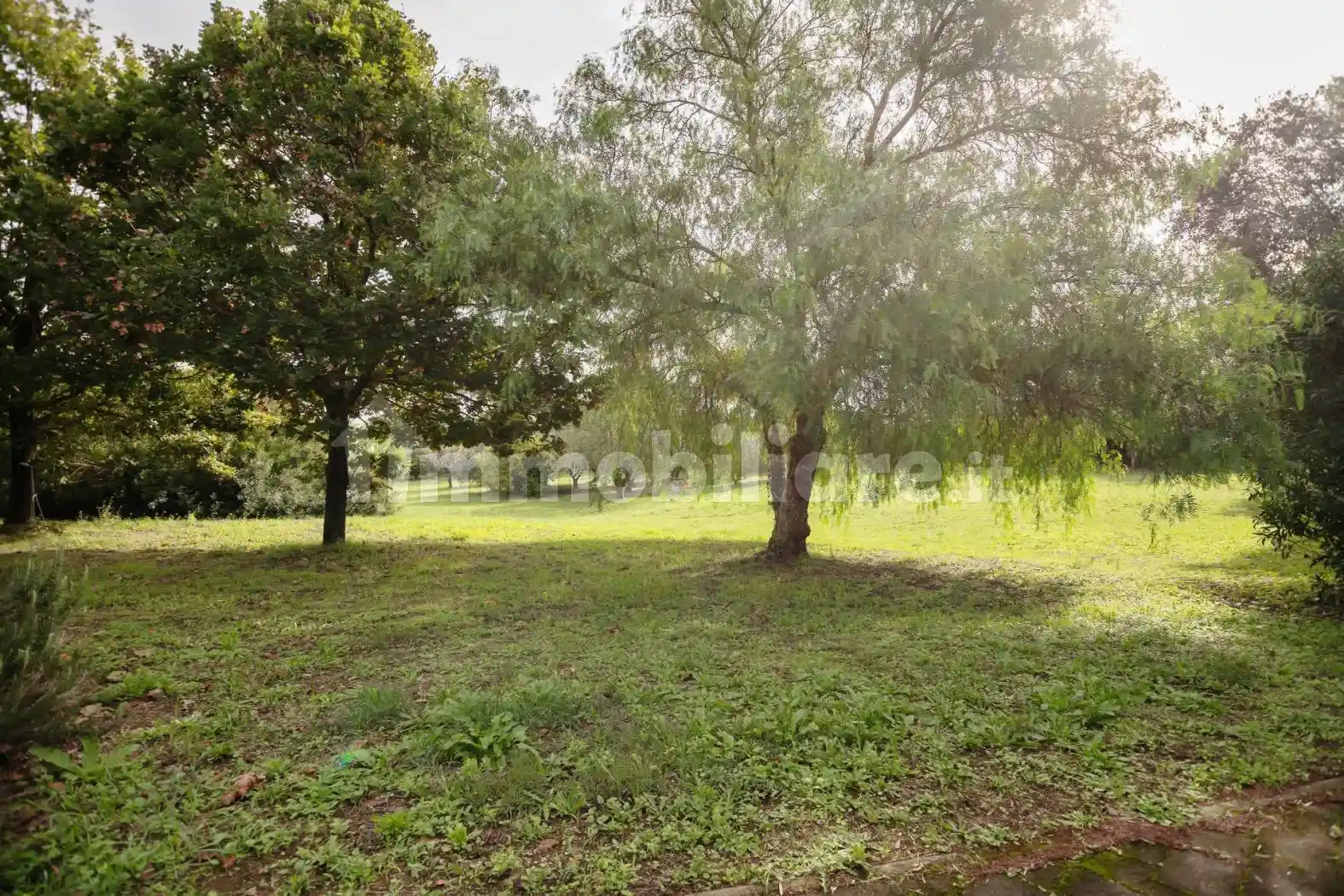 Villa unifamiliare via Bernardino Bolasco, Castel di Guido, Roma - foto 5