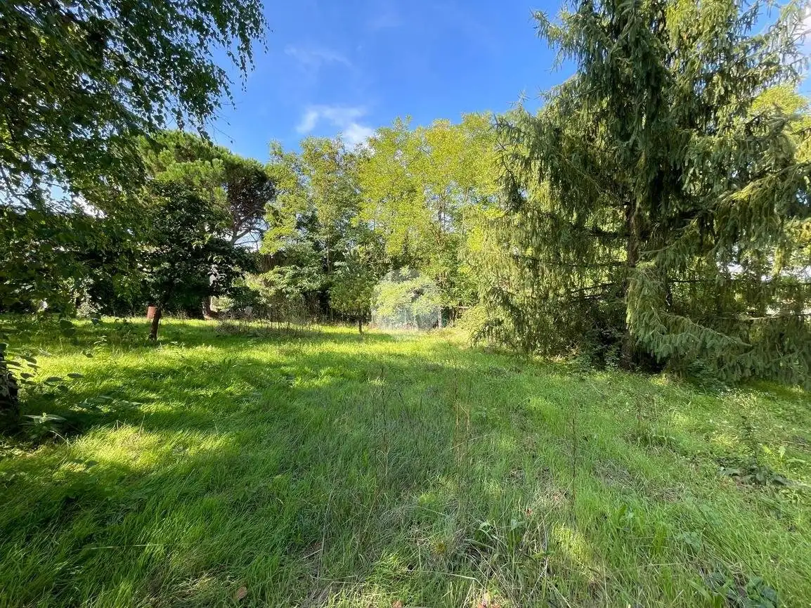 Casa colonica vicolo Palestro 3, Bruno - foto 3