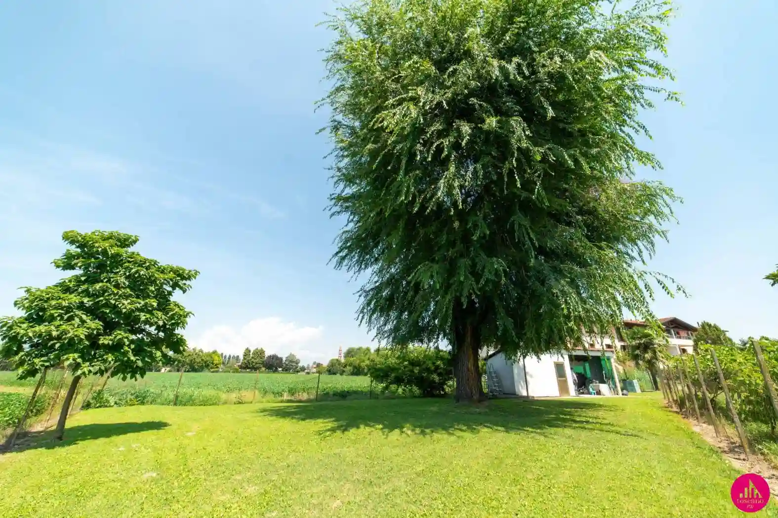 Villetta a schiera - foto 5