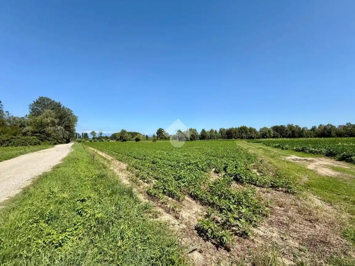 Rustico - Casale in vendita a Azzano Decimo