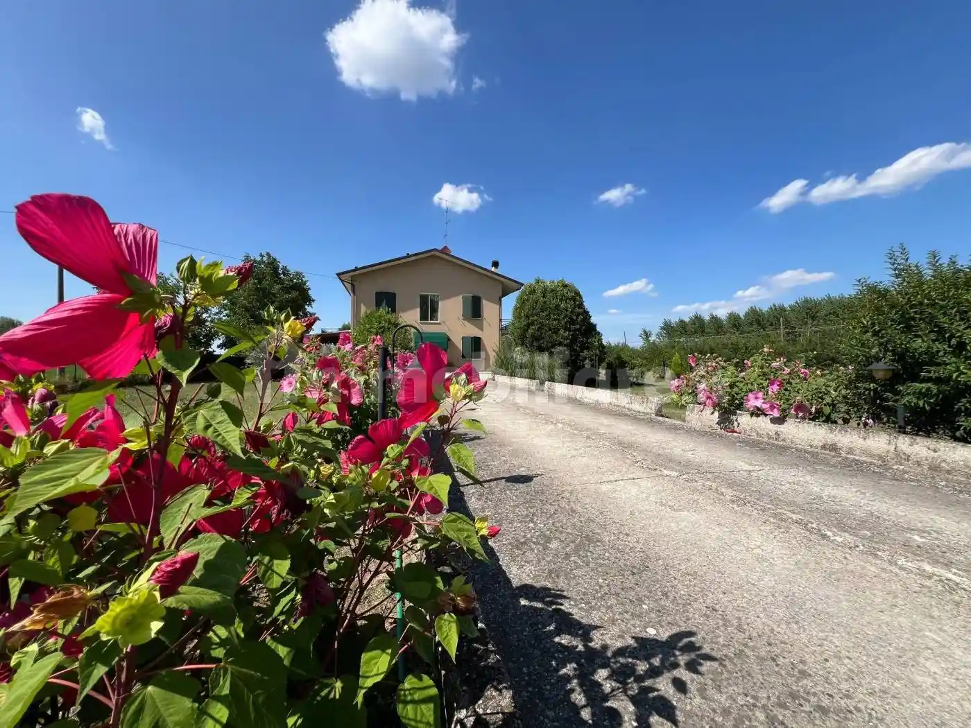 Villa in vendita a Gualtieri
