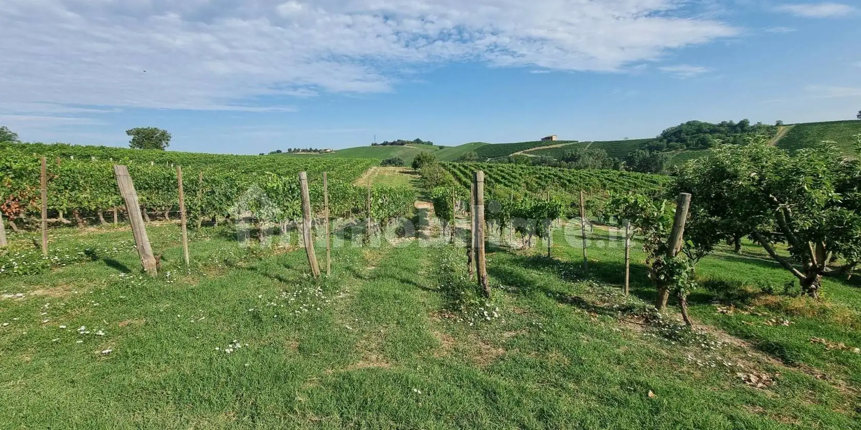 Rustico - Casale in vendita a Castelnuovo Calcea