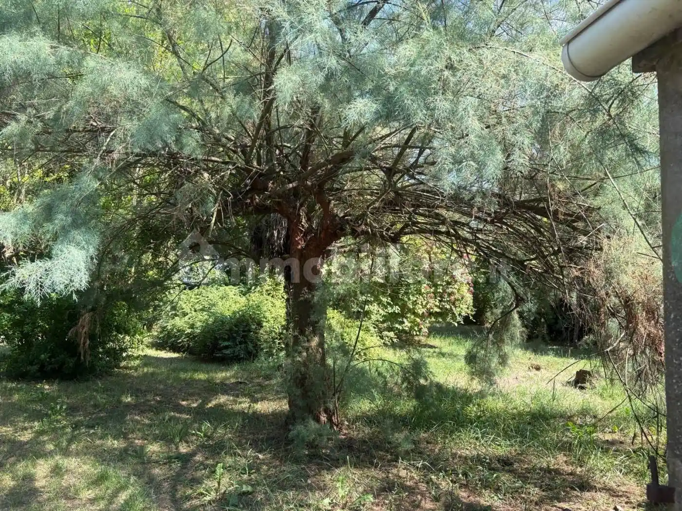 Villa unifamiliare, da ristrutturare, 130 m², Francolino, Ferrara - foto 3