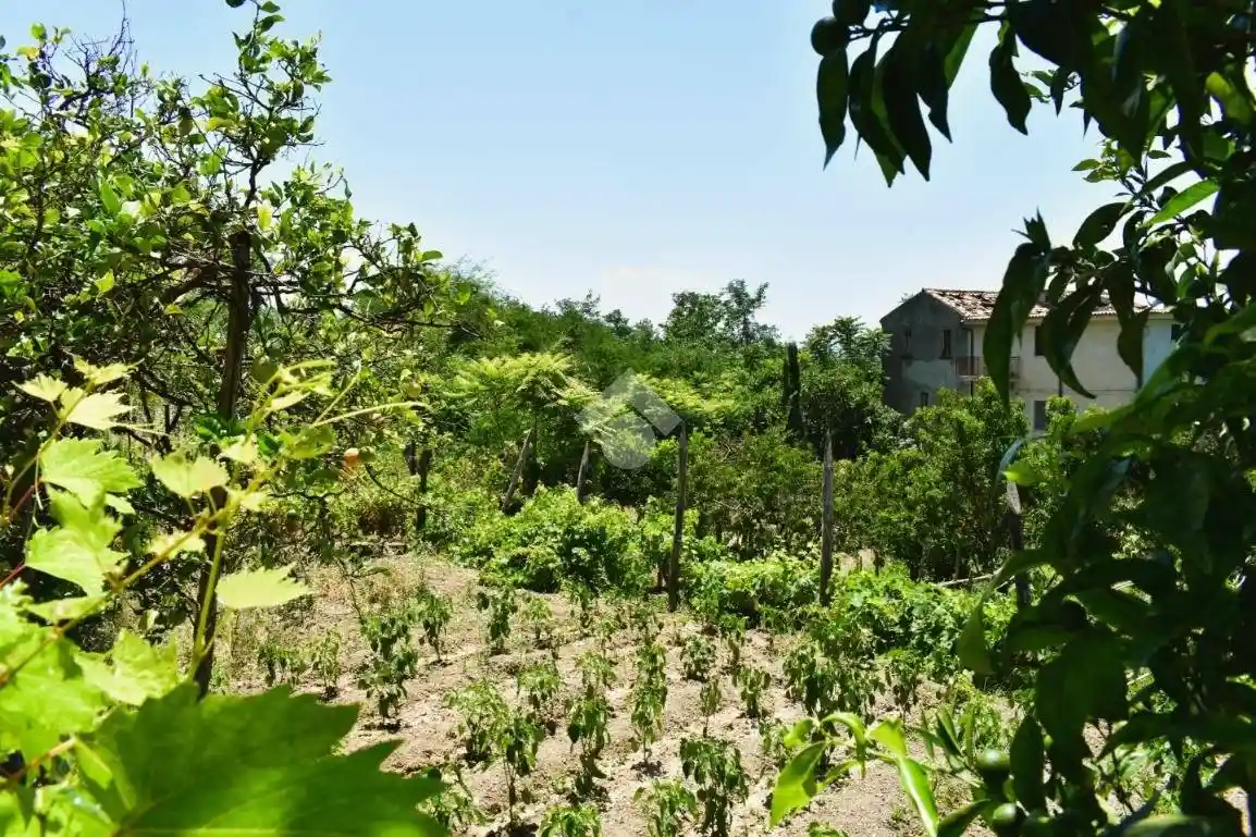 Terratetto plurifamiliare via Torrevecchia, Paola - foto 3