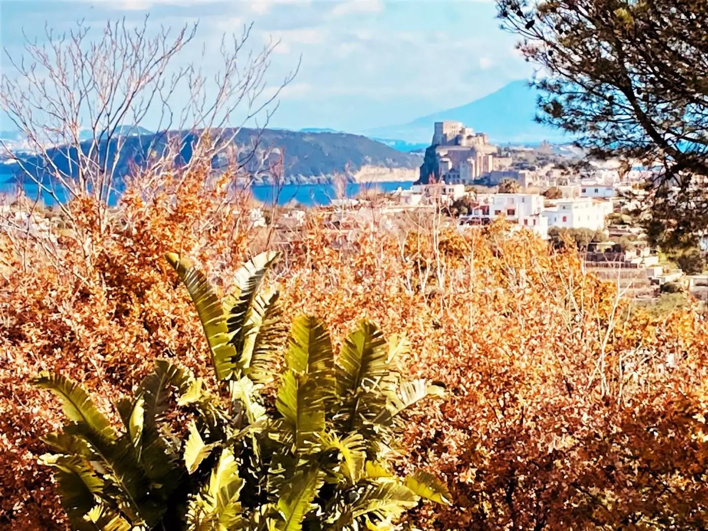 Appartamento in vendita a Ischia