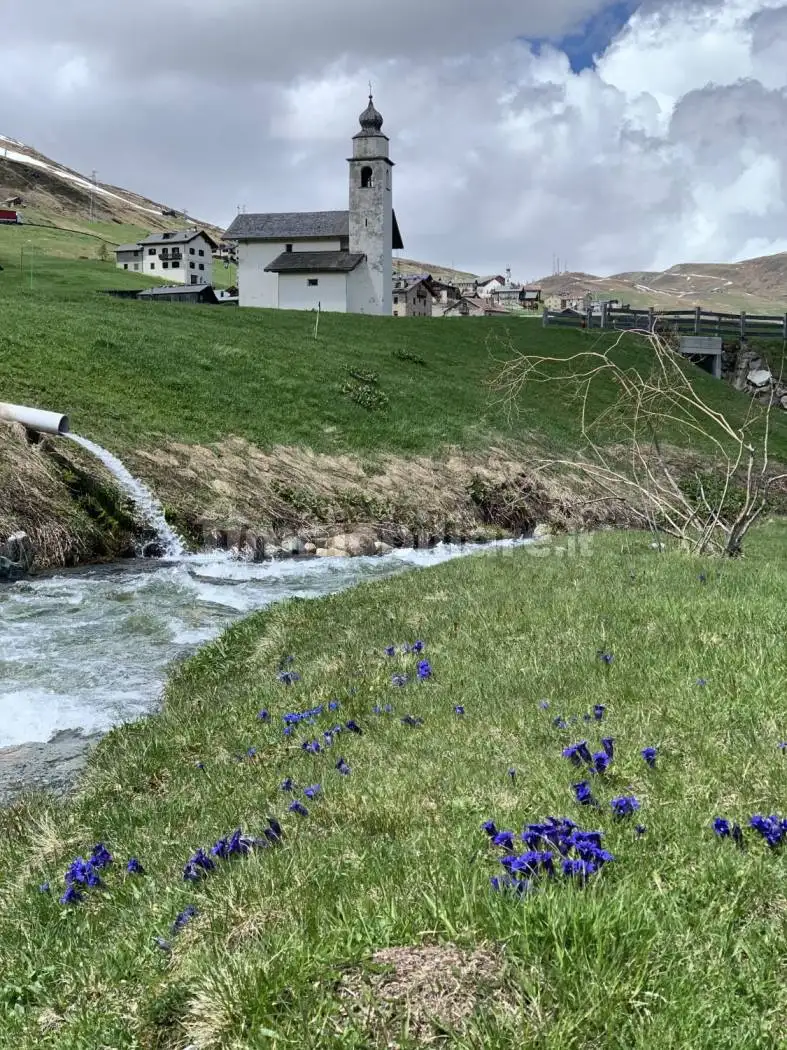 Appartamento in vendita a Livigno