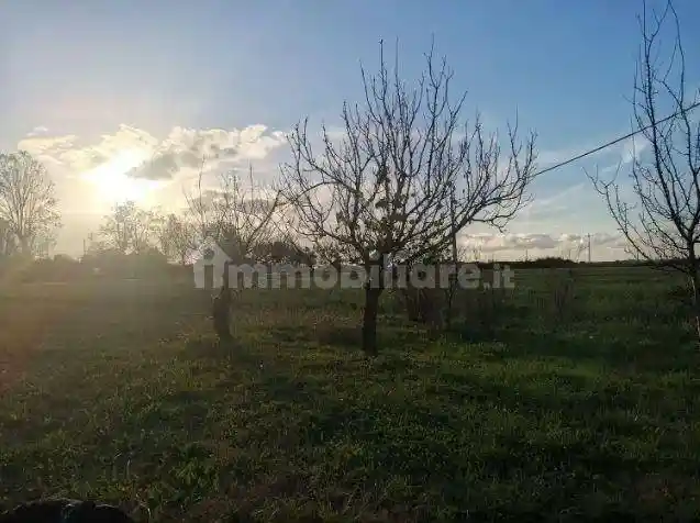 Villa unifamiliare, buono stato, 180 m², Arnaccio - Chiesanuova, Cascina - foto 2