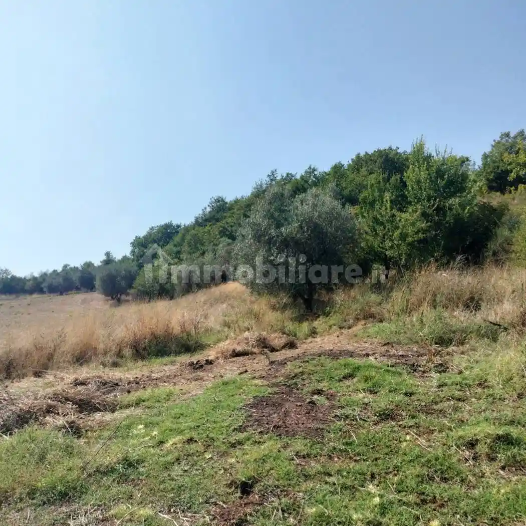 Rustico - Casale in vendita a Pitigliano