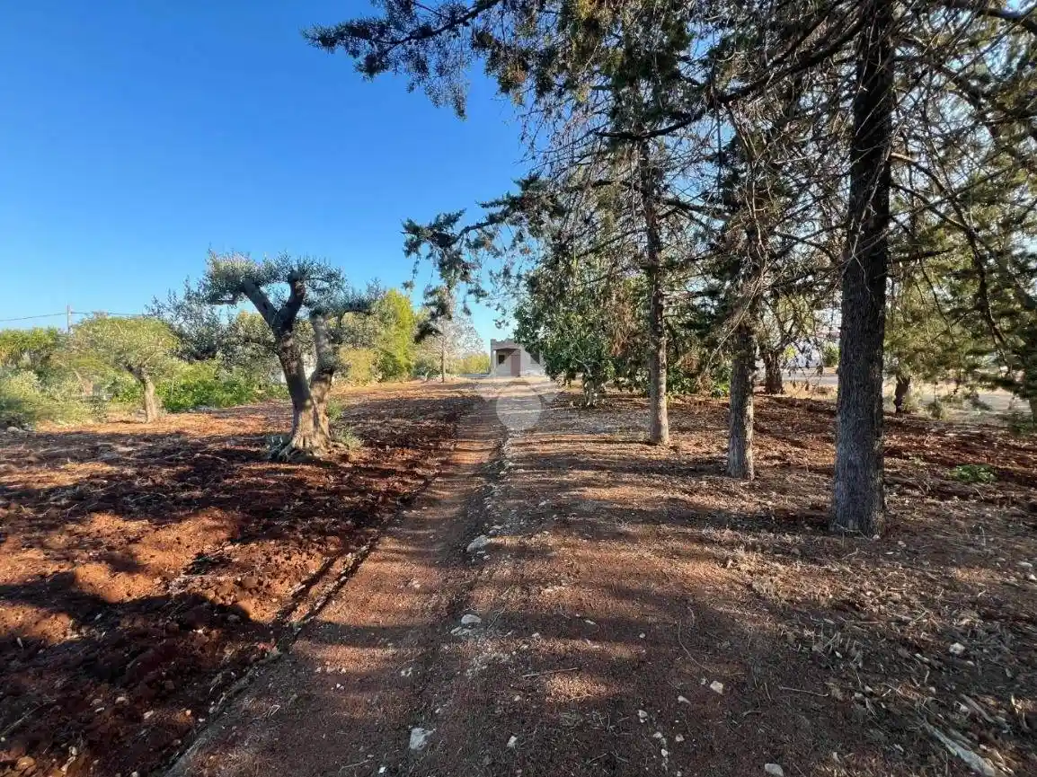 Villa unifamiliare Contrada Mascava 1, Montenegro, Brindisi - foto 2