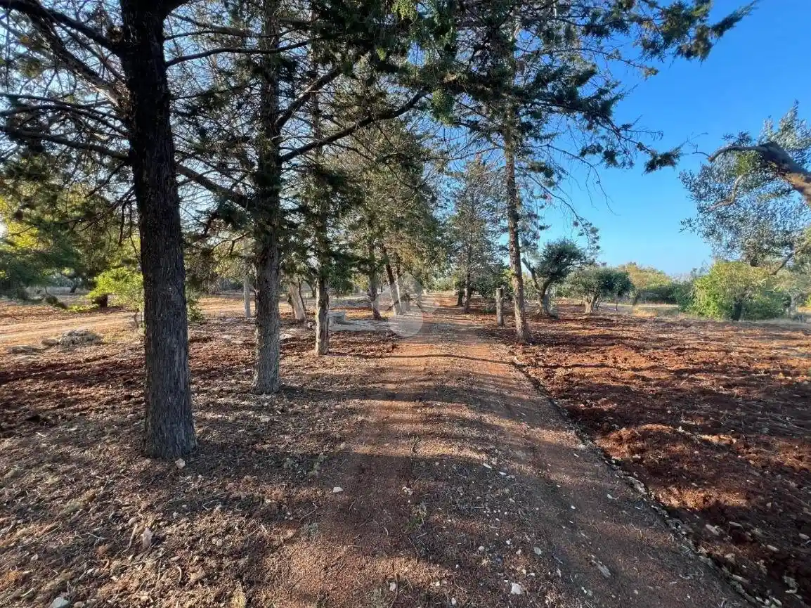 Villa unifamiliare Contrada Mascava 1, Montenegro, Brindisi - foto 4
