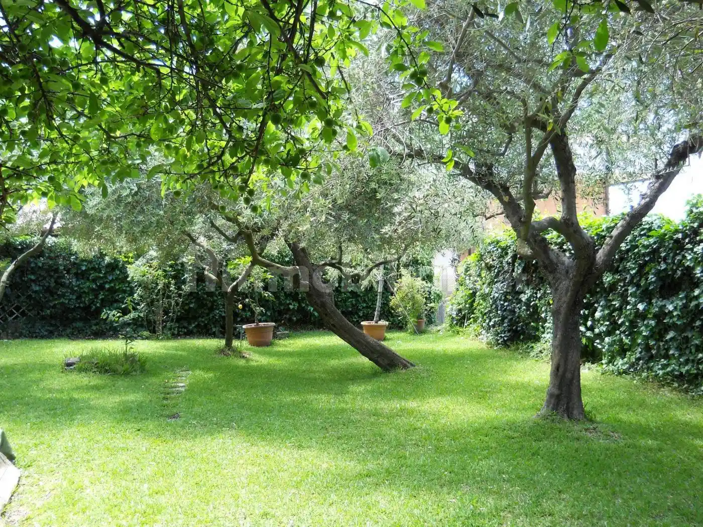 Villa unifamiliare via delle Camelie, San Gordiano, Civitavecchia - foto 5