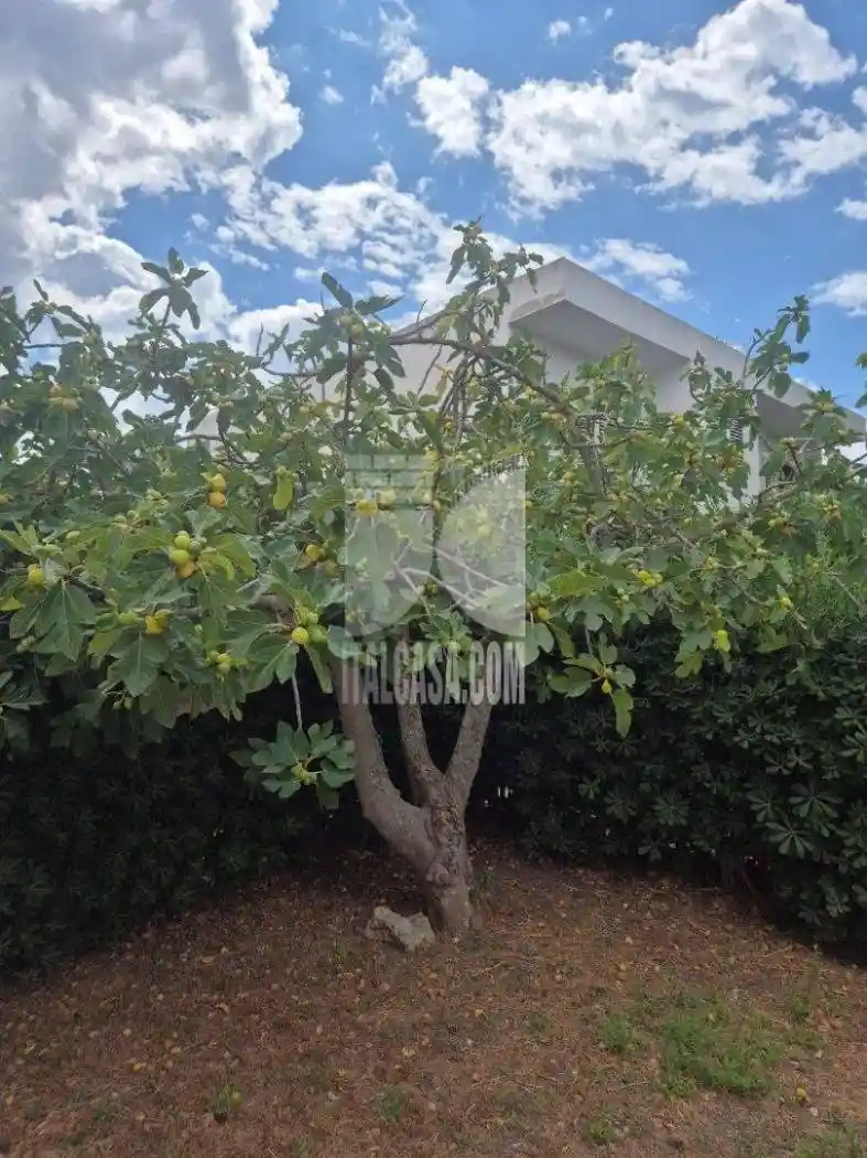 Trilocale villaggio seleno, Isola di Capo Rizzuto - foto 3