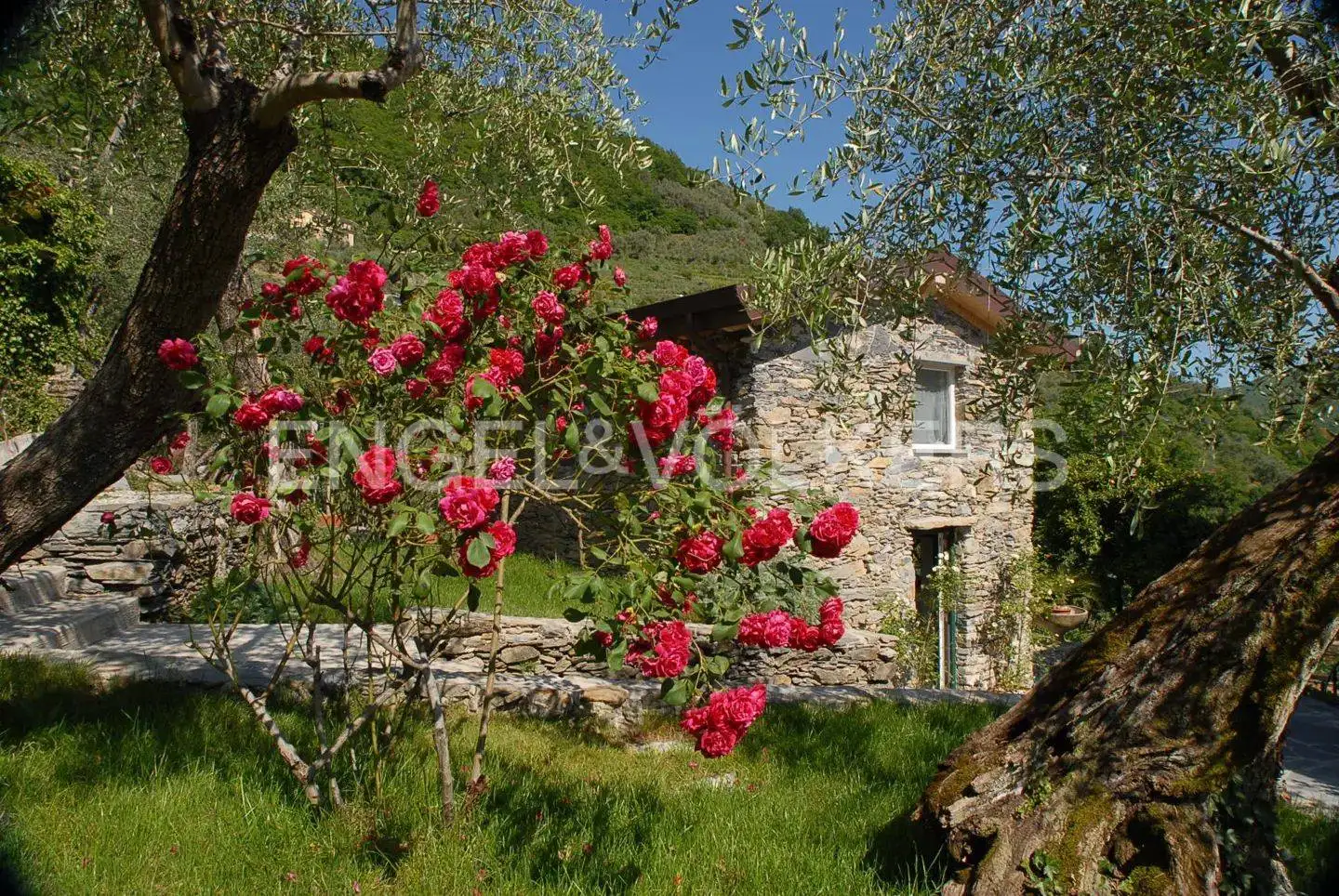 Casale Località Simoni 1, Paggi, Carasco - foto 5