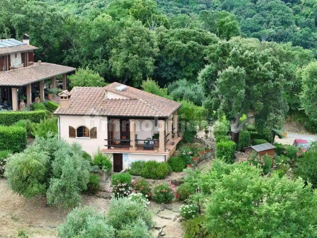 Rustico - Casale - foto 3