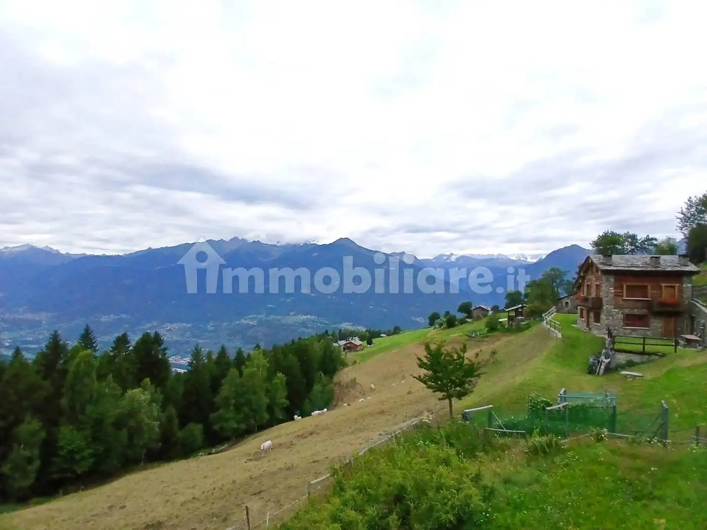 Villa unifamiliare Località Campelli, Albosaggia - foto 5