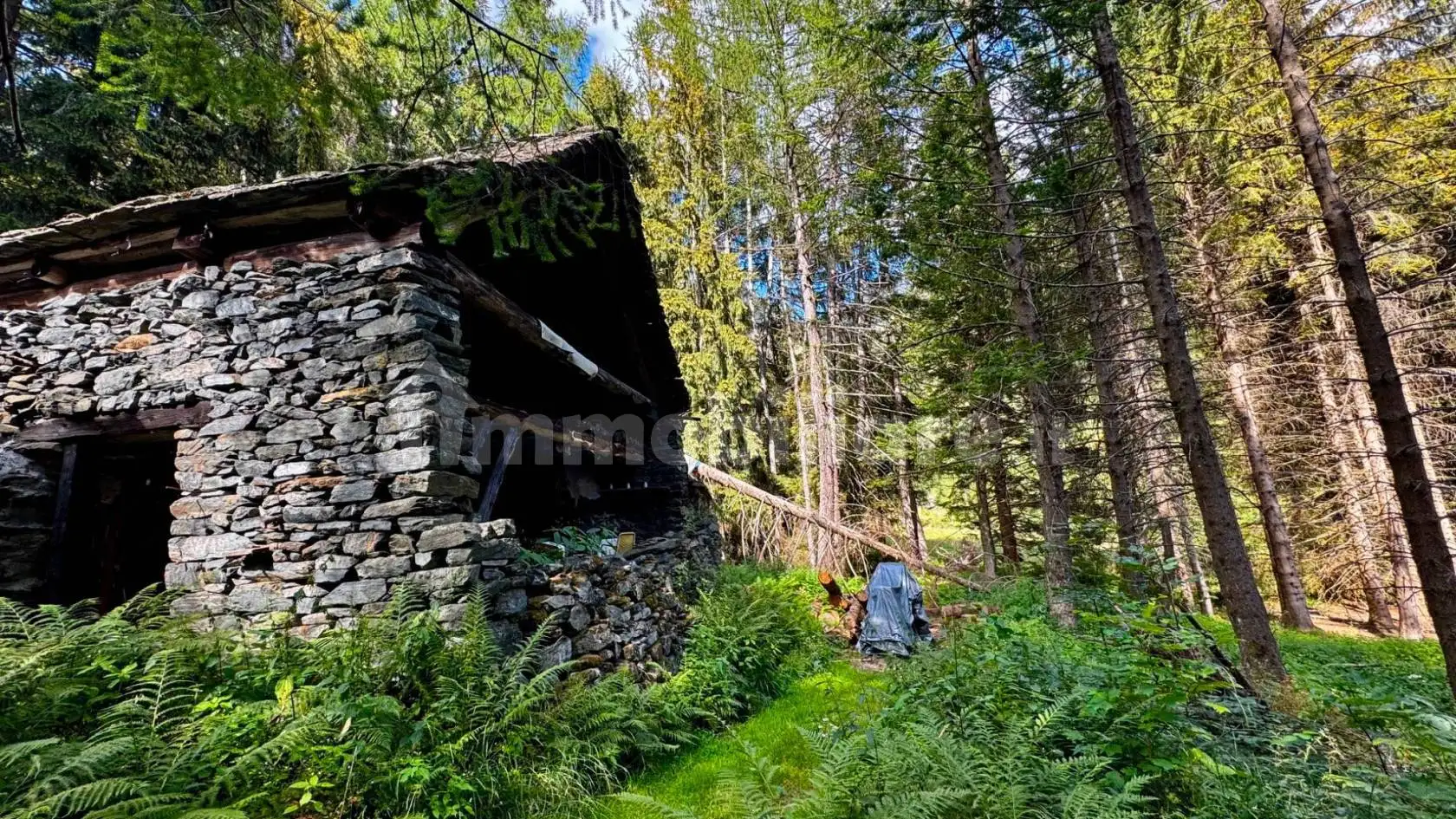 Rustico Località Cheggio, Alpe Cheggio, Antrona Schieranco - foto 3