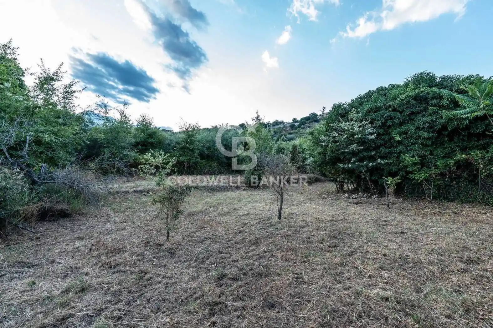 Rustico - Casale in vendita a Giarre