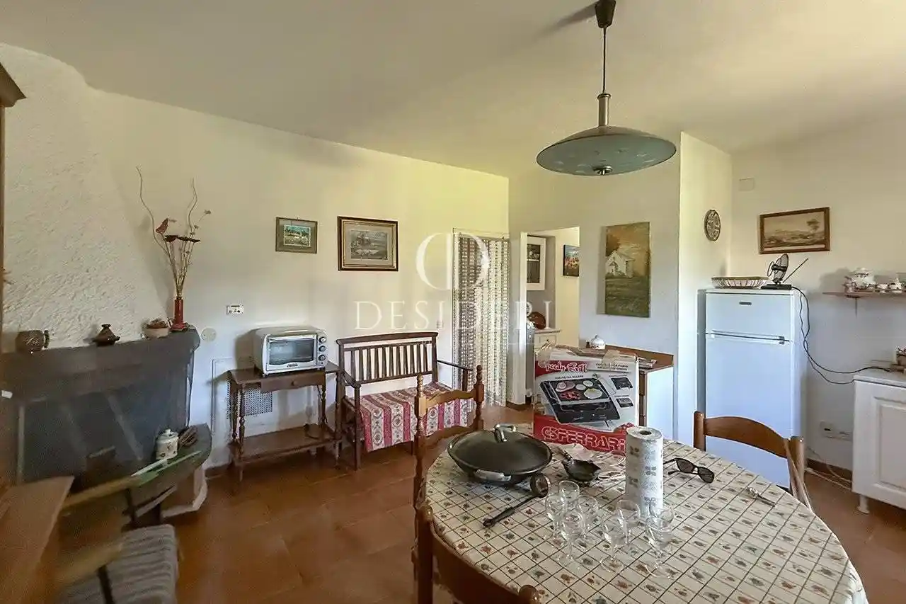 Appartamento in vendita a Scansano