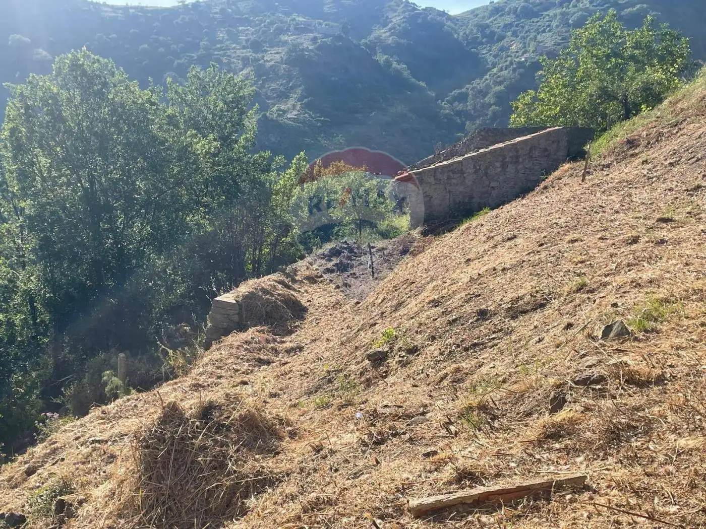 Terratetto unifamiliare casale di tifani snc, Castelmola - foto 2