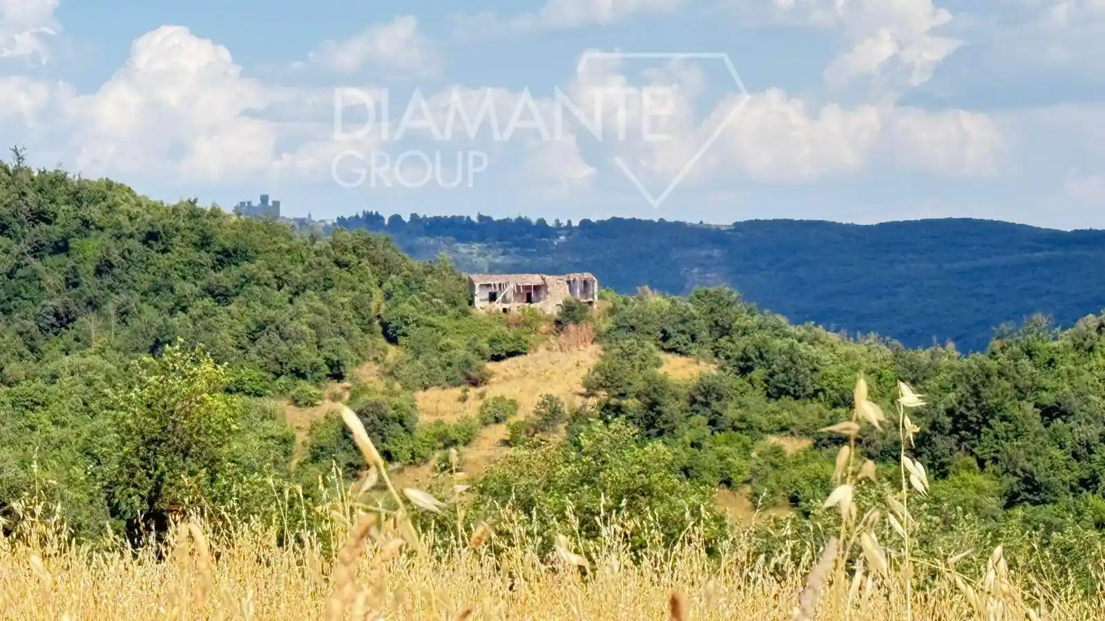 Rustico - Casale in vendita a Acquapendente