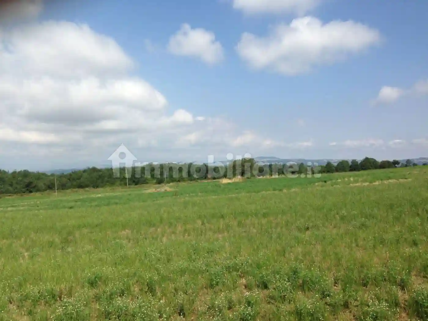 Casale Strada Provinciale Cercemaggiore, Cercemaggiore - foto 4