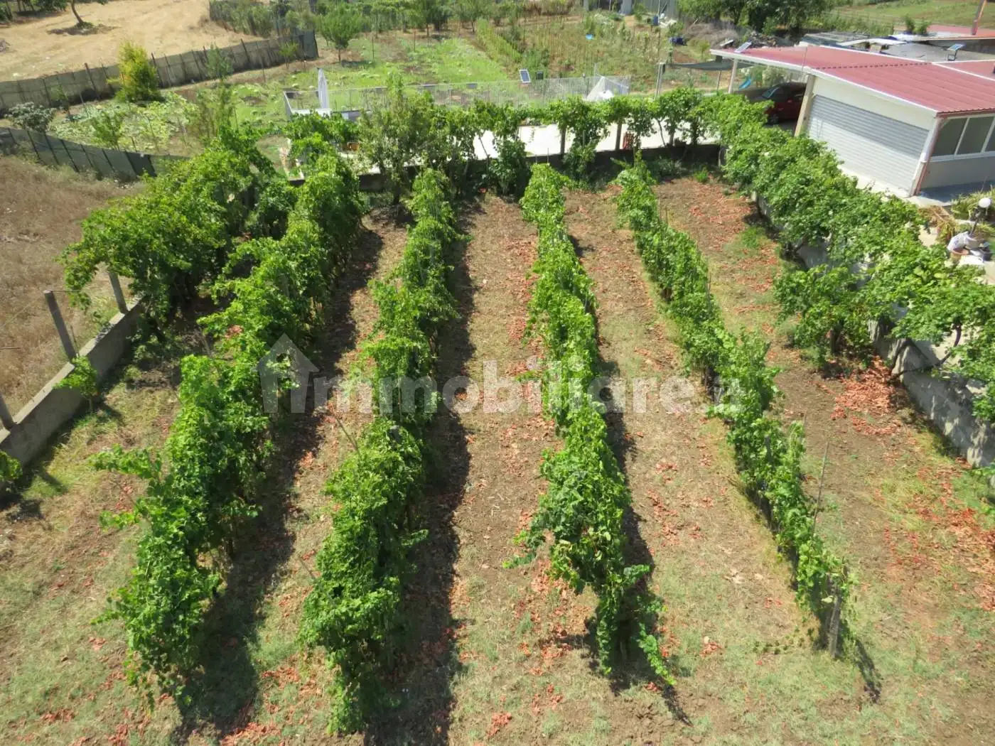 Villa unifamiliare via Vesperata, San Marco, Cessaniti - foto 5