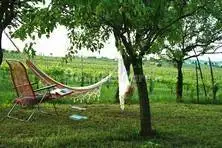 Villa in vendita a Santa Maria della Versa