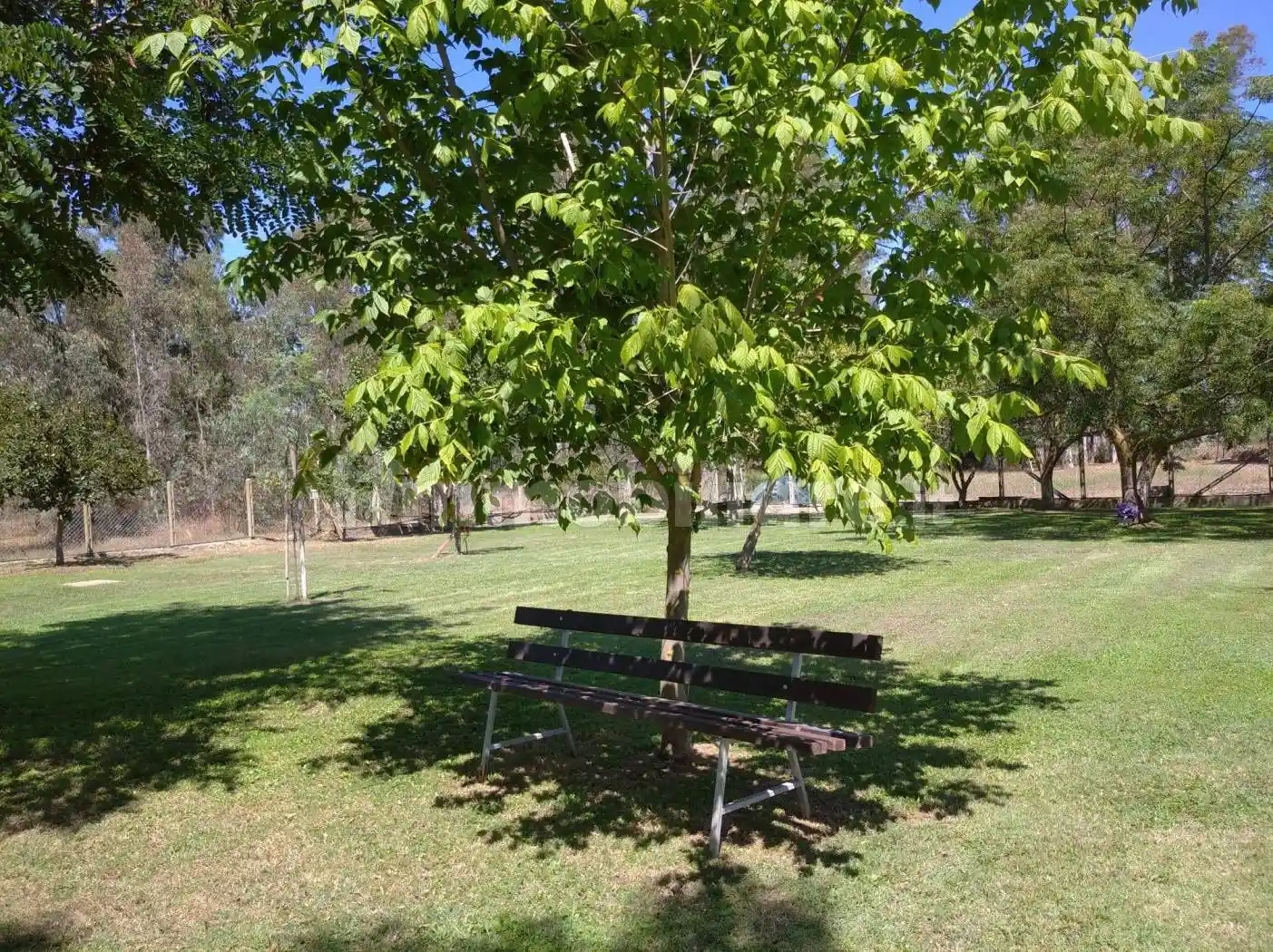 Villa unifamiliare Strada del Pantanello 348, Borgo Sabotino, Latina - foto 3