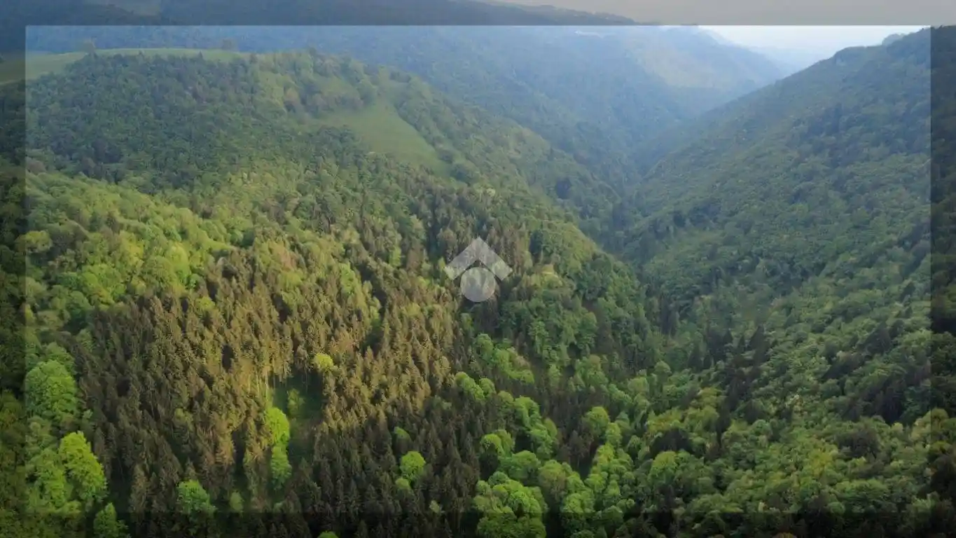 Rustico - Casale in vendita a Bosco Chiesanuova