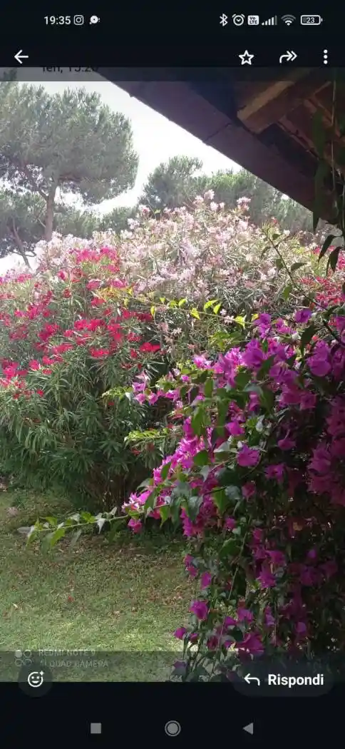 Villa in affitto a Terracina