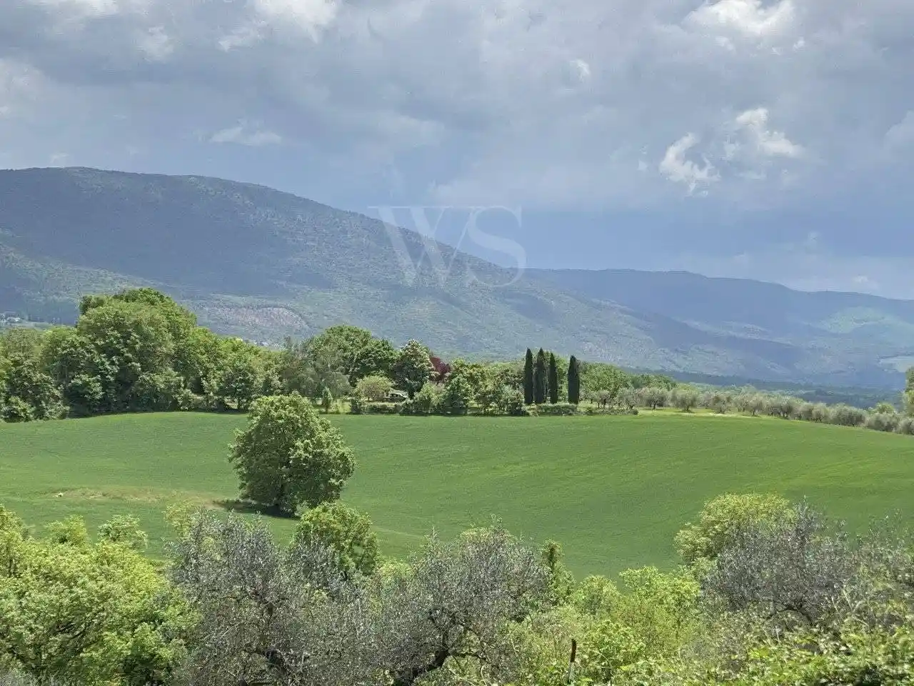 Rustico - Casale in vendita a Massa Martana