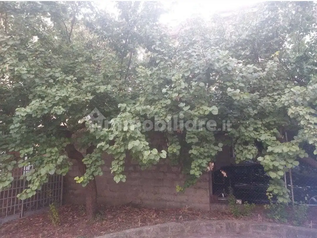 Villa in vendita a Torre Orsaia