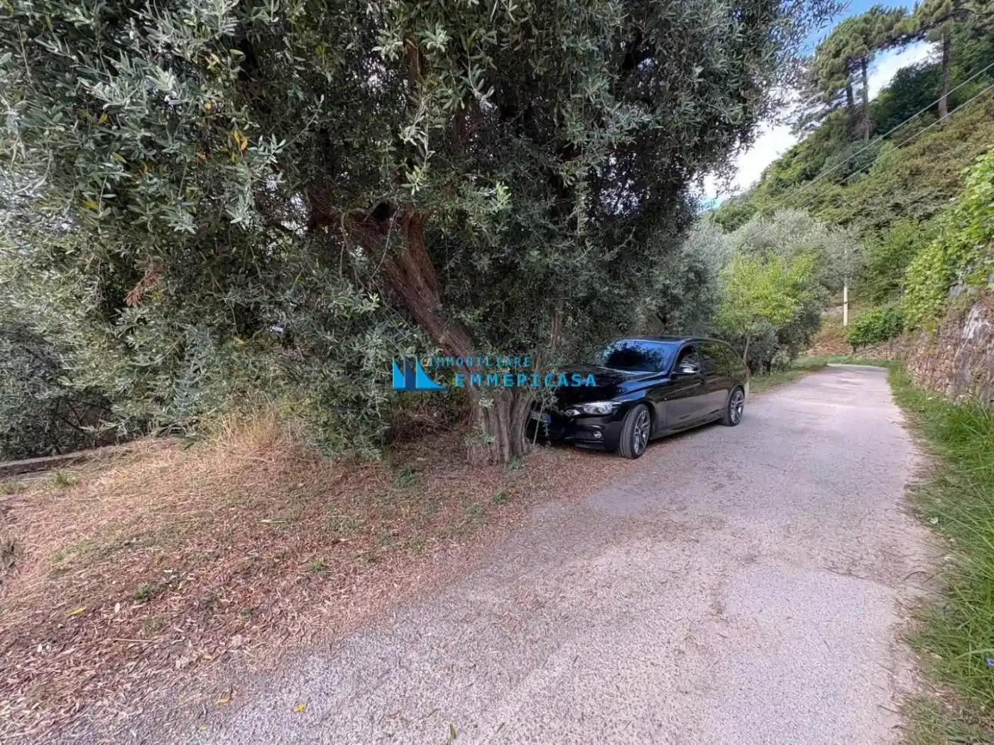 Rustico via Rosoleto,, Zona Collinare Cerreto, Sant'Eustachio, Montignoso - foto 3