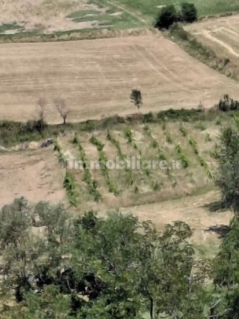 Rustico - Casale in vendita a San Leo