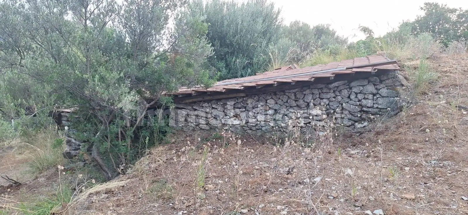 Rustico - Casale in vendita a Camerota