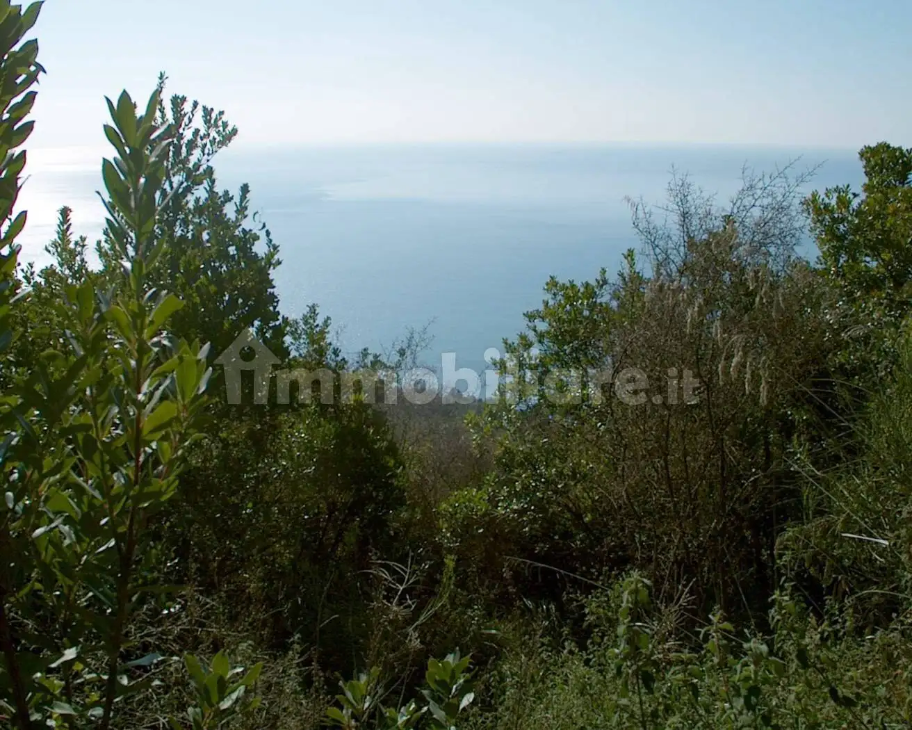Casa colonica via Monte di Luna, Monte Di Luna, Camerota - foto 2