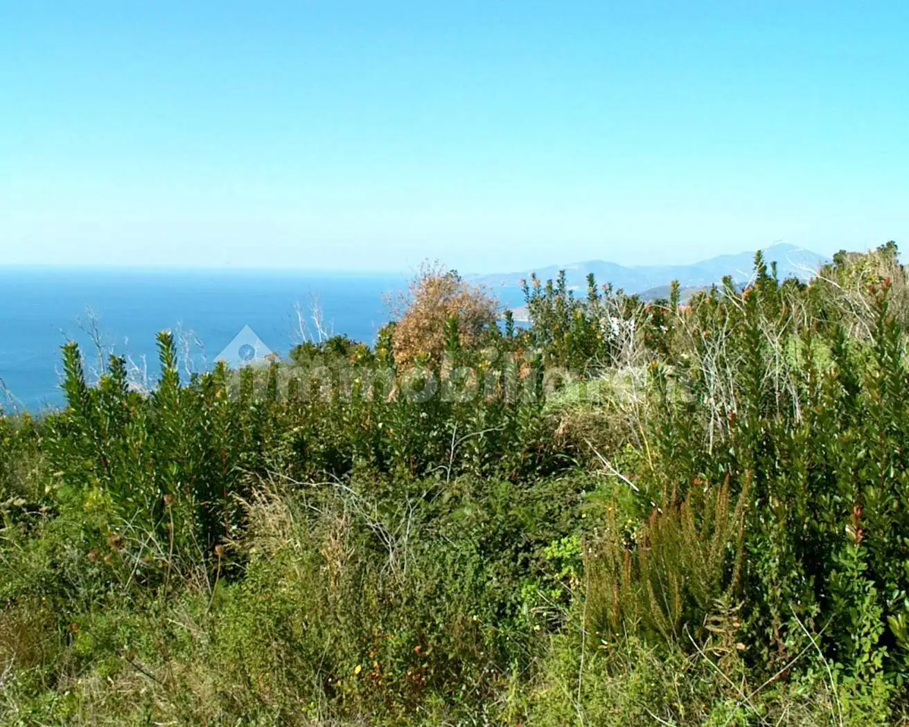 Casa colonica via Monte di Luna, Monte Di Luna, Camerota - foto 3